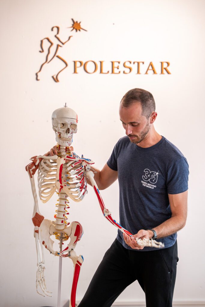 Anatomy Alive Waves Leuven